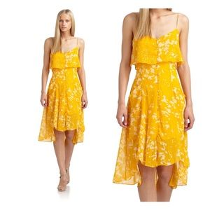 ✨Pure Sunshine!✨